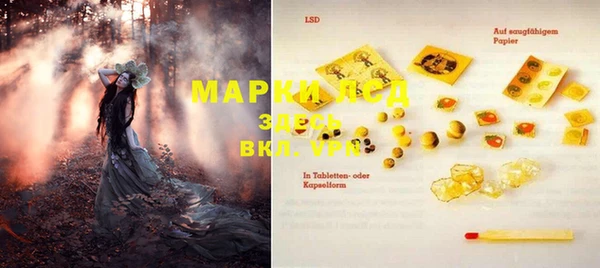 apvp Алзамай