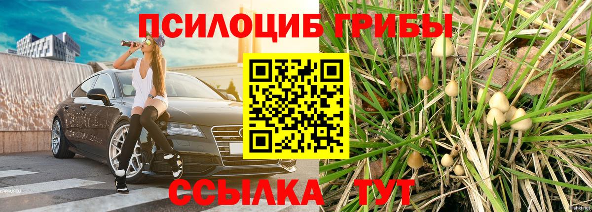 Жуковский  Галлюциногенные грибы ЛСД  Вход с VPN  Галлюциногенные грибы Psilocybine cubensis 